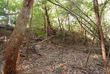 周防 (仮)常栄寺北山城の写真