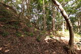 周防 (仮)常栄寺北山城の写真
