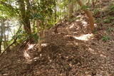 周防 (仮)常栄寺北山城の写真