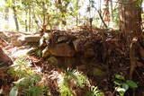 周防 (仮)常栄寺北山城の写真