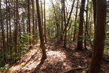 周防 (仮)常栄寺北山城の写真