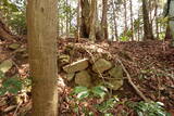 周防 (仮)常栄寺北山城の写真