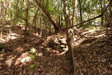 周防 (仮)常栄寺北山城の写真