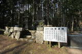 周防 成君寺山城の写真