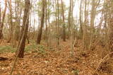 周防 成君寺山城の写真