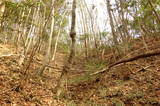 周防 成君寺山城の写真