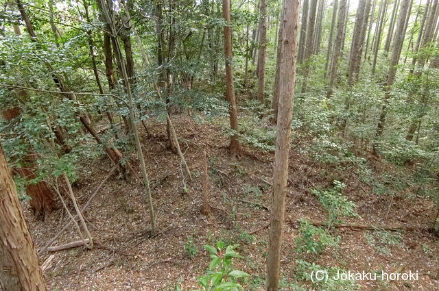 周防 恋路山城の写真