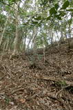 周防 古城ヶ岳城の写真