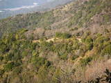 周防 琴石山城の写真
