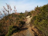 周防 琴石山城の写真