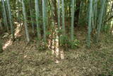 周防 倉重城の写真