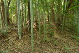 周防 倉重城の写真
