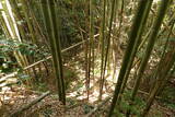 周防 倉重城の写真