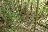 周防 倉重城の写真