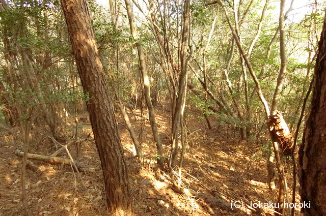 周防 松尾要害山城の写真