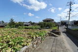 周防 中津居館の写真