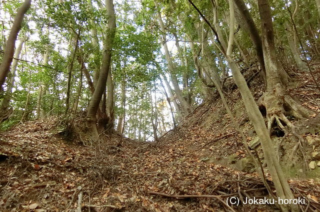 周防 七ツ尾山城の写真