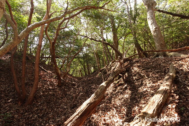 周防 (仮)落合山城の写真