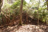周防 (仮)落合山城の写真