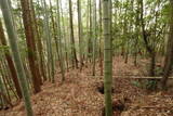 周防 折敷殿の写真
