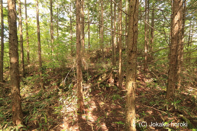 周防 撒骨山砦の写真