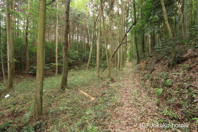 周防 泉香寺山城の写真