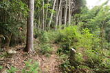 周防 周慶寺山城の写真