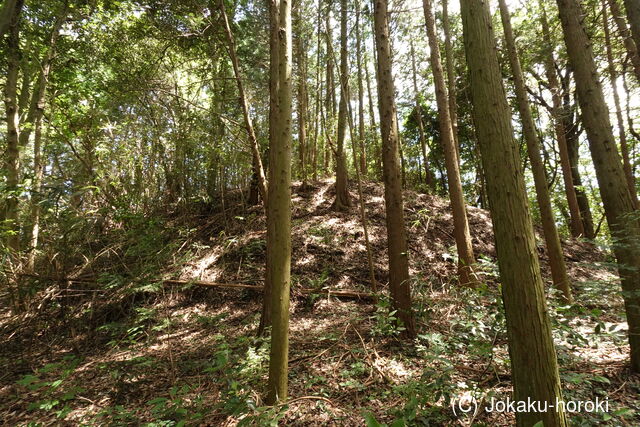 周防 寺迫山城の写真