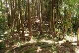 周防 寺迫山城の写真