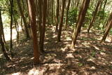 周防 寺迫山城の写真