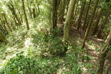 周防 寺迫山城の写真
