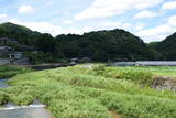 周防 寺迫山城の写真