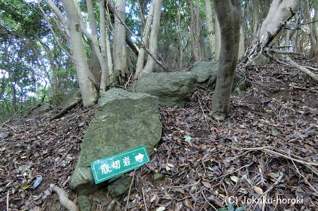 周防 富海茶臼山城の写真