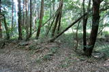 周防 富海茶臼山城の写真