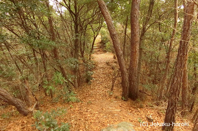 周防 高山城(通津)の写真