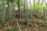 周防 上野の城山の写真