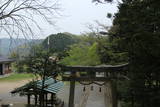 周防 上野の城山の写真