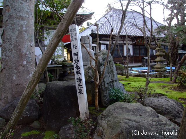 駿河 阿野館の写真