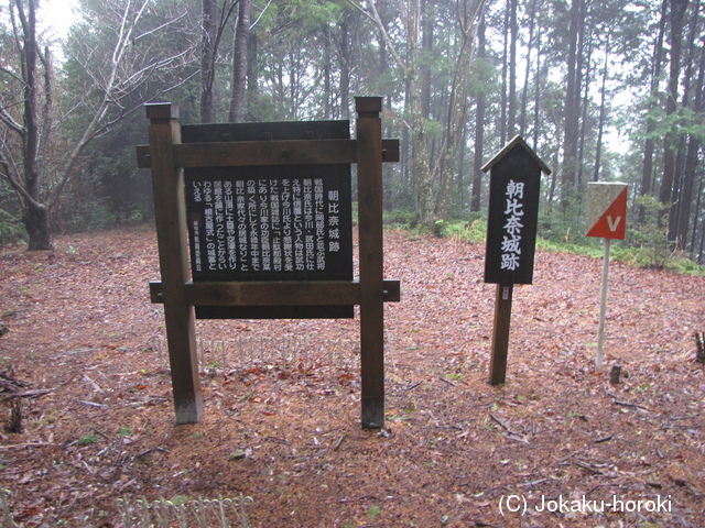 駿河 朝比奈城の写真