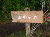 駿河 足柄城の写真