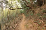 駿河 愛宕山城の写真