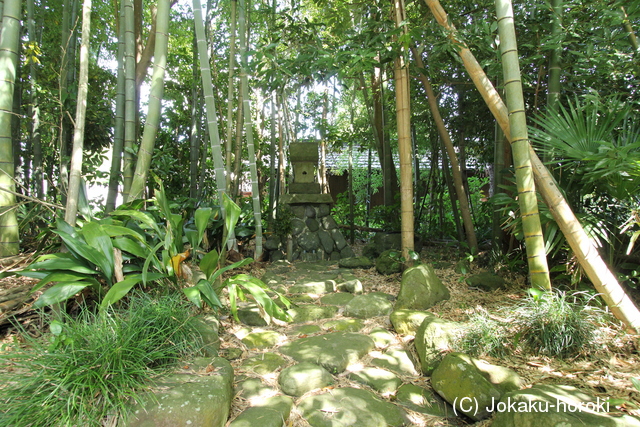 駿河 大雲院土居の写真