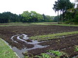 駿河 深沢城の写真