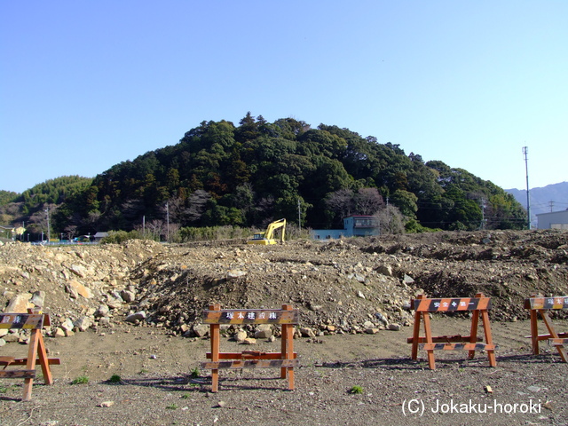 駿河 八幡山砦の写真