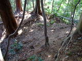 駿河 八幡山砦の写真