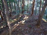 駿河 八幡山砦の写真