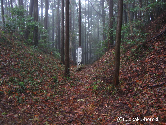 駿河 花倉城の写真