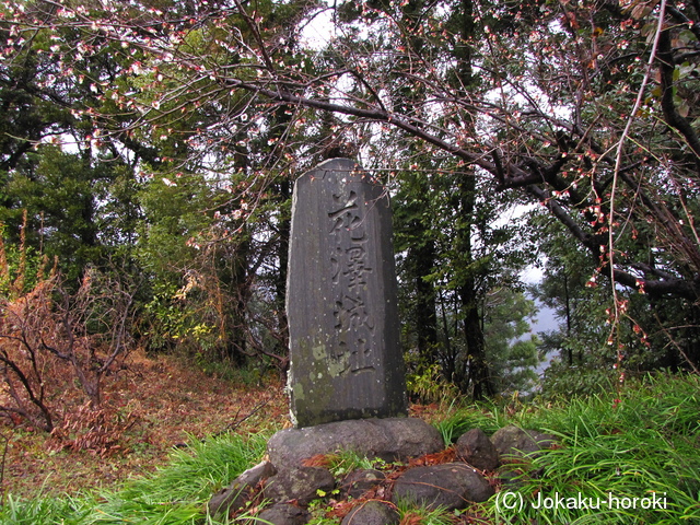 駿河 花沢城の写真