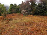 駿河 花沢城の写真