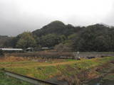 駿河 花沢城の写真